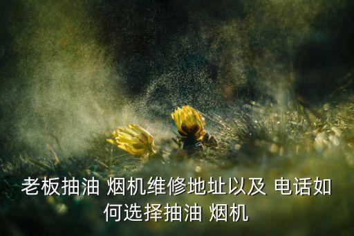 老板抽油 煙機(jī)維修地址以及 電話如何選擇抽油 煙機(jī)