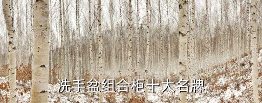 洗手盆組合柜十大名牌