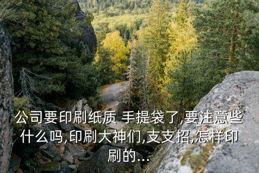 衛(wèi)浴手提袋圖片大全,無紡布手提袋圖片大全