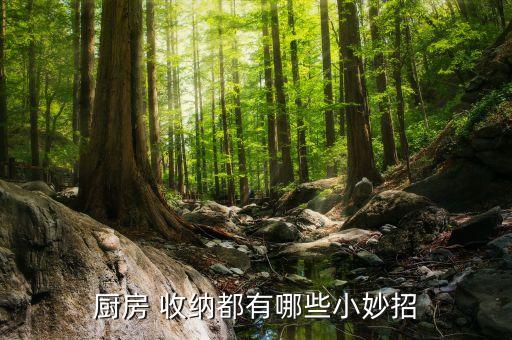 衛(wèi)浴隔斷透明收納袋圖片