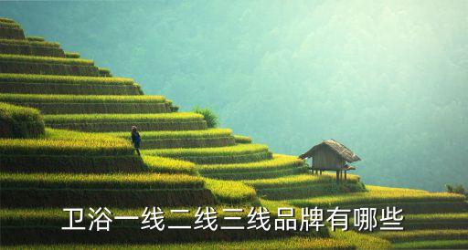 衛(wèi)浴一線二線三線品牌有哪些