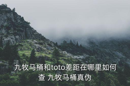  九牧馬桶和toto差距在哪里如何查 九牧馬桶真?zhèn)? class=