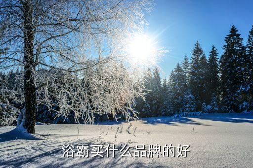 浴霸買什么品牌的好