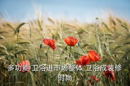 多功能 衛(wèi)浴進(jìn)市場(chǎng)整體 衛(wèi)浴成裝修時(shí)尚