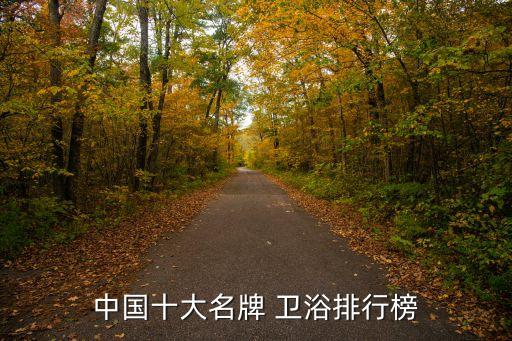 中國十大名牌 衛(wèi)浴排行榜