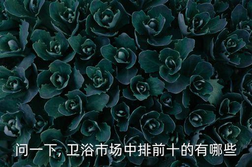 問(wèn)一下, 衛(wèi)浴市場(chǎng)中排前十的有哪些