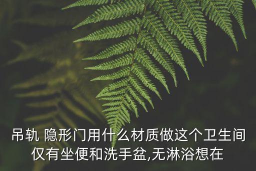 吊軌 隱形門(mén)用什么材質(zhì)做這個(gè)衛(wèi)生間僅有坐便和洗手盆,無(wú)淋浴想在