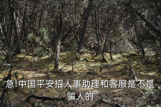 急!中國平安招人事助理和客服是不是騙人的