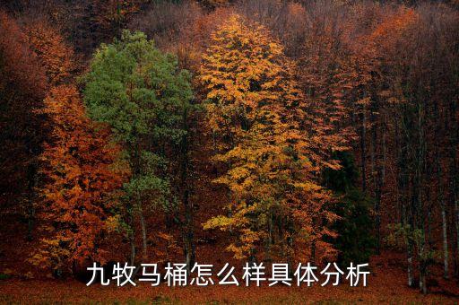 九牧馬桶怎么樣具體分析