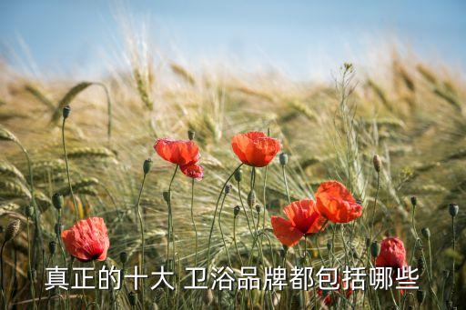 三亞衛(wèi)浴加工廠有哪些品牌