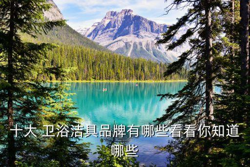 十大 衛(wèi)浴潔具品牌有哪些看看你知道哪些