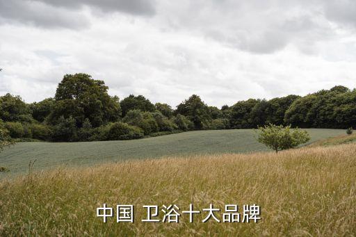 中國 衛(wèi)浴十大品牌