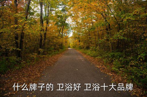 熱門(mén)水暖衛(wèi)浴品牌排行前十