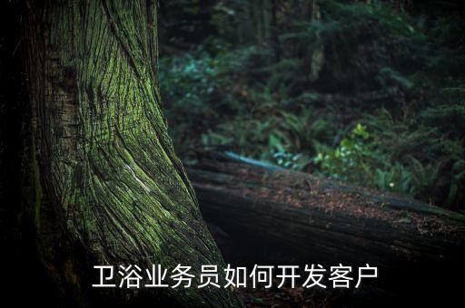  衛(wèi)浴業(yè)務(wù)員如何開發(fā)客戶