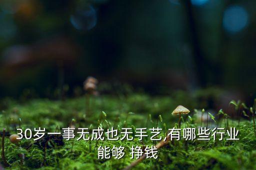 廚房衛(wèi)浴店掙錢嗎