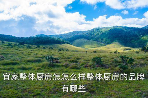 宜家整體廚房怎怎么樣整體廚房的品牌有哪些