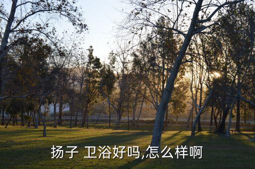 小品牌衛(wèi)浴產(chǎn)品好不好