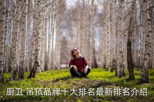 開平衛(wèi)浴吊頂品牌招商加盟
