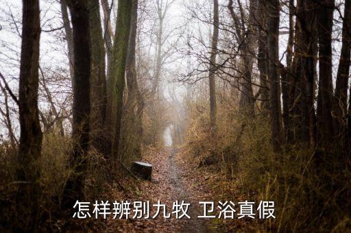 怎樣辨別九牧 衛(wèi)浴真假