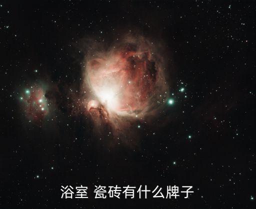浴室 瓷磚有什么牌子