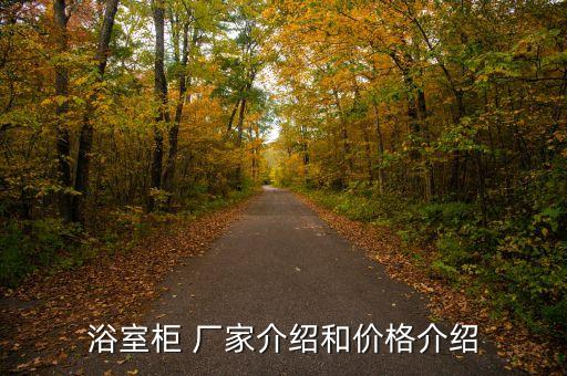 廈門水龍頭衛(wèi)浴廠家地址,開平市衛(wèi)浴水龍頭哪個(gè)廠家好