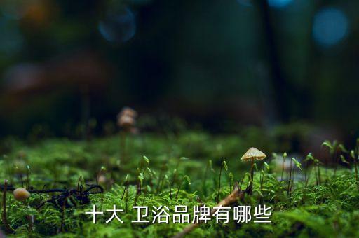 潔具衛(wèi)浴廠