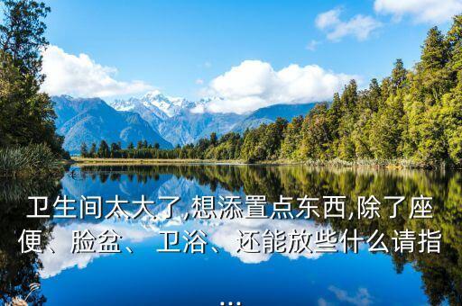 衛(wèi)生間太大了,想添置點(diǎn)東西,除了座便、臉盆、 衛(wèi)浴、還能放些什么請指...