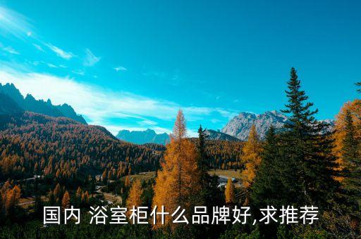 整體衛(wèi)浴浴室柜哪個(gè)品牌好,衛(wèi)浴浴室柜品牌排行榜前十名