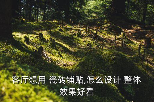 客廳想用 瓷磚鋪貼,怎么設(shè)計(jì) 整體效果好看