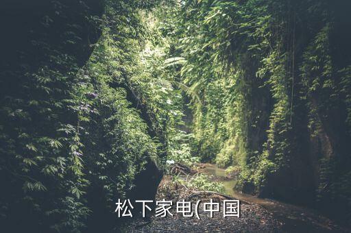 松下家電(中國(guó)