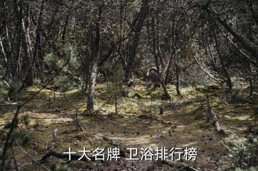 潔具衛(wèi)浴十大名表品牌價(jià)格
