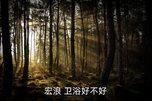 衛(wèi)浴需不需要品牌授權(quán)的,不需要品牌授權(quán)的產(chǎn)品