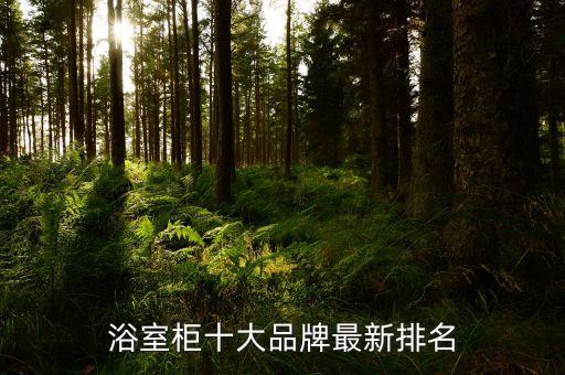 浴室柜十大品牌最新排名