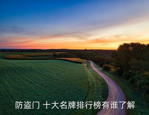  防盜門 十大名牌排行榜有誰了解
