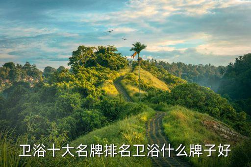 衛(wèi)浴十大名牌排名衛(wèi)浴什么牌子好