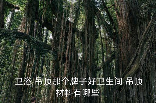 邢臺集成吊頂衛(wèi)浴批發(fā)電話