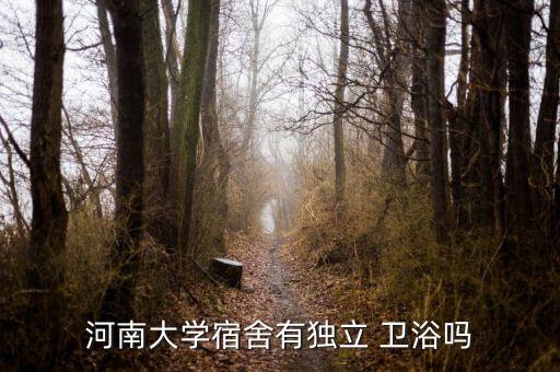 河南大學(xué)宿舍有獨(dú)立 衛(wèi)浴嗎