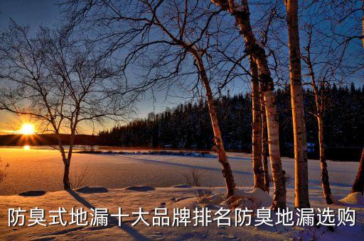 防臭式地漏十大品牌排名防臭地漏選購
