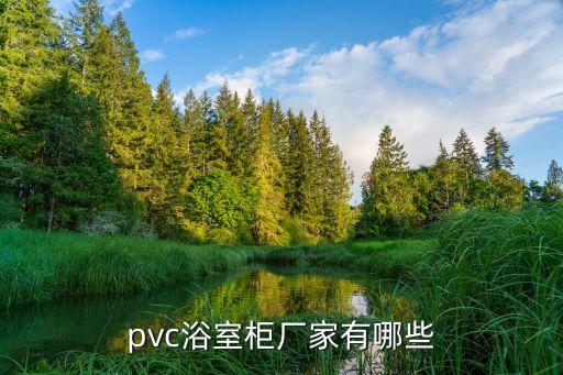 pvc浴室柜廠家有哪些