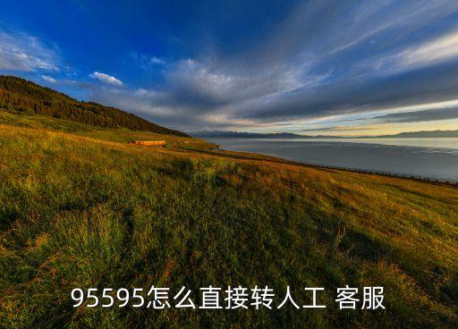 95595怎么直接轉(zhuǎn)人工 客服
