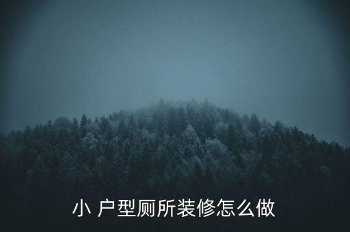 小 戶型廁所裝修怎么做