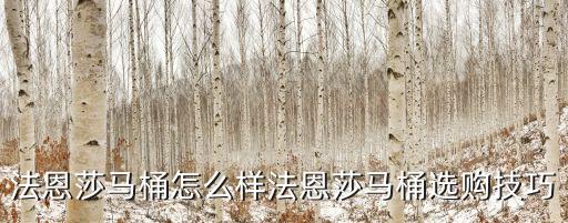 法恩莎衛(wèi)浴圖片文案排版