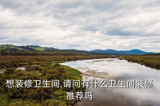 想裝修衛(wèi)生間,請(qǐng)問有什么衛(wèi)生間裝修推薦嗎