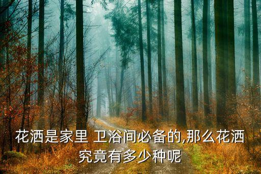 衛(wèi)浴間專用萬(wàn)能扳手圖片