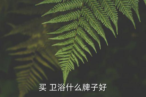 買 衛(wèi)浴什么牌子好