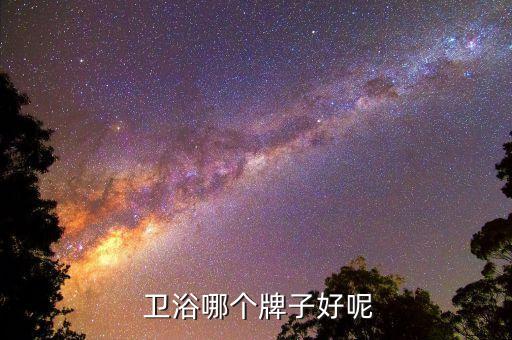  衛(wèi)浴哪個牌子好呢