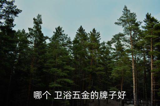 廣東衛(wèi)浴品牌推薦店鋪電話