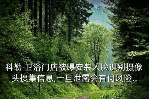 科勒 衛(wèi)浴門店被曝安裝人臉識(shí)別攝像頭搜集信息,一旦泄露會(huì)有何風(fēng)險(xiǎn)...