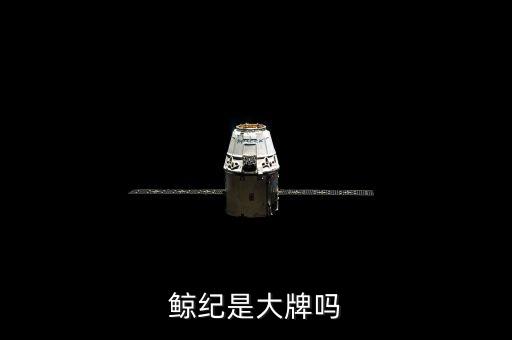 鯨紀(jì)是大牌嗎