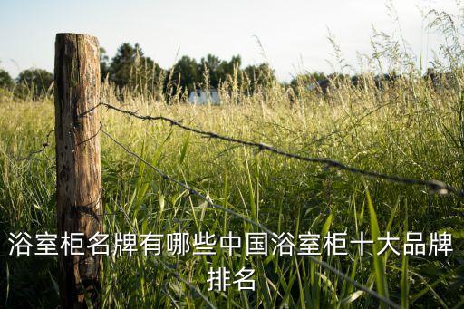浴室柜名牌有哪些中國(guó)浴室柜十大品牌排名